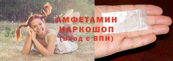ГАЛЛЮЦИНОГЕННЫЕ ГРИБЫ Богданович