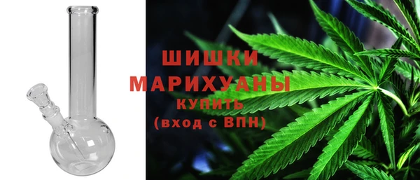 ГАЛЛЮЦИНОГЕННЫЕ ГРИБЫ Богданович