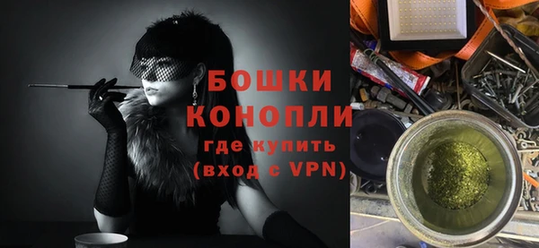 ГАЛЛЮЦИНОГЕННЫЕ ГРИБЫ Богданович