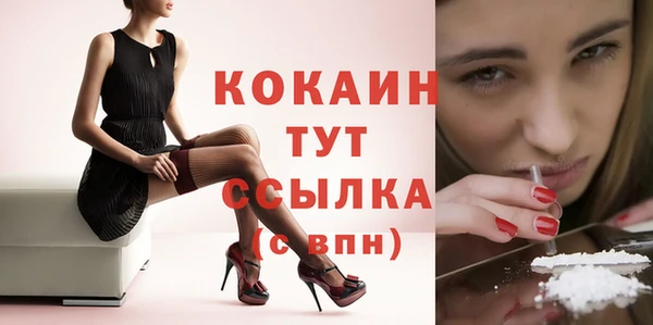 ГАЛЛЮЦИНОГЕННЫЕ ГРИБЫ Богданович