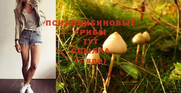 мдма Богородск