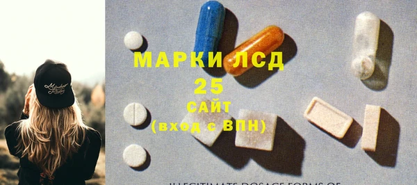 ГАЛЛЮЦИНОГЕННЫЕ ГРИБЫ Богданович