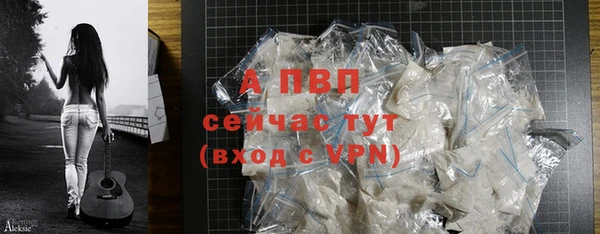 ГАЛЛЮЦИНОГЕННЫЕ ГРИБЫ Богданович