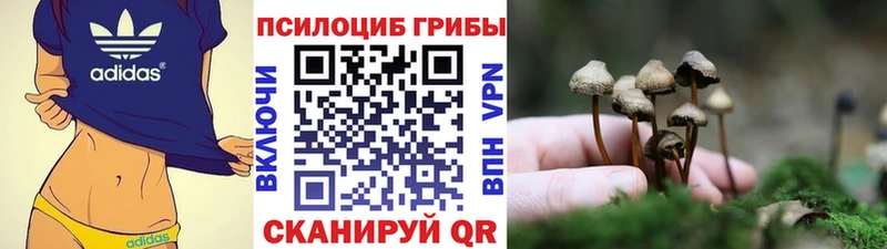 Галлюциногенные грибы Psilocybine cubensis  купить наркотики цена  Бийск 